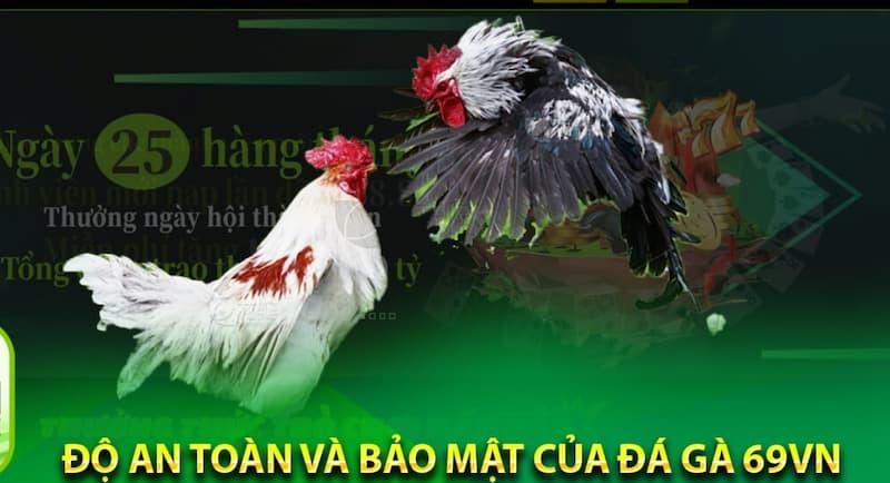Ảnh 1: Giới thiệu đá gà tại 69VN