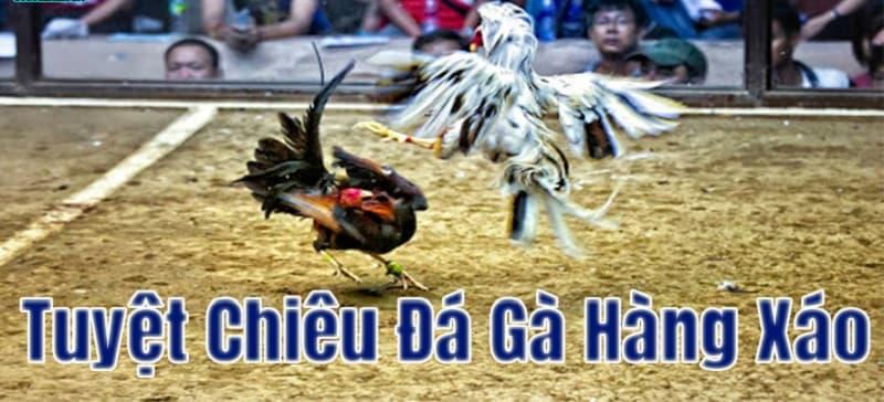 Tuyệt chiêu đá gà hàng xáo đối với cửa sanh