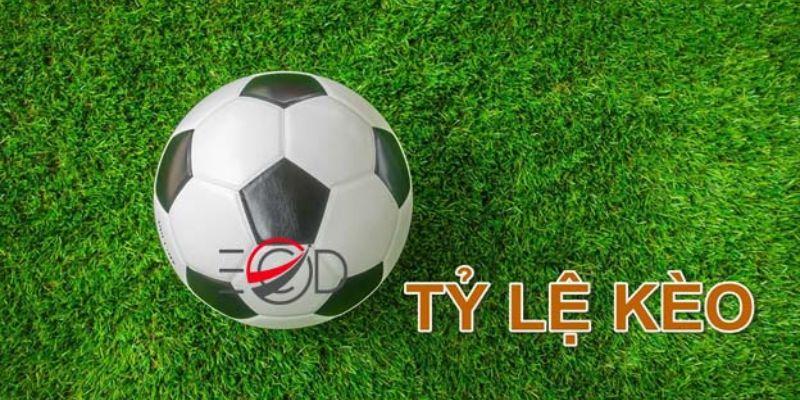 Tỷ lệ kèo 50: 50, không chuẩn xác như quảng cáo