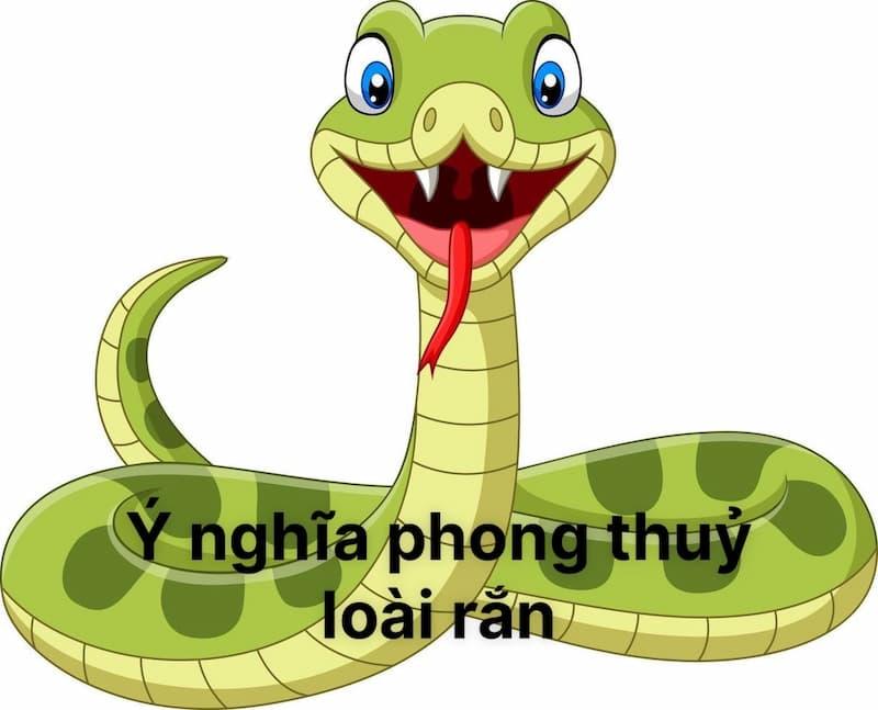 Ý nghĩa phong thuỷ của loài rắn