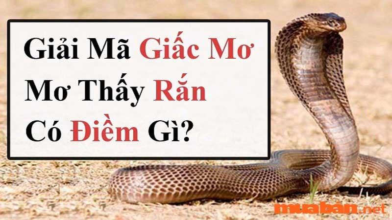 Điềm báo khi mơ thấy con rắn
