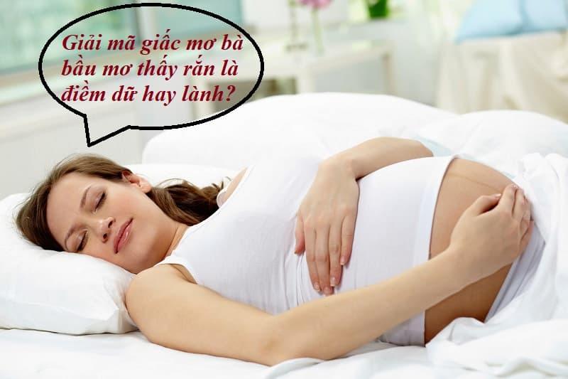 Mẹ bầu mơ thấy rắn
