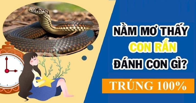 Đánh lô đề khi chiêm bao thấy rắn