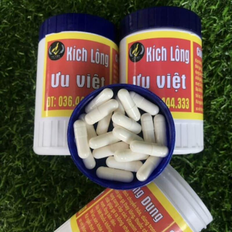 Thuốc kích thích thay lông nhanh cho gà chọi