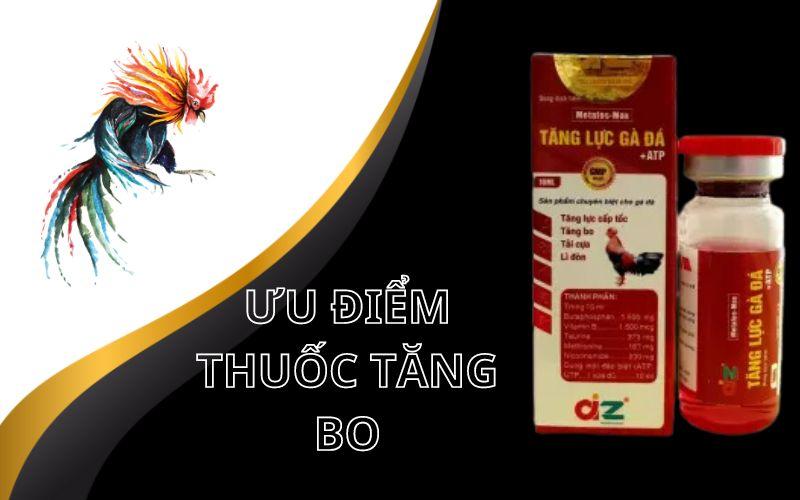 Những ưu khi sử dụng thuốc tăng lực tăng bo